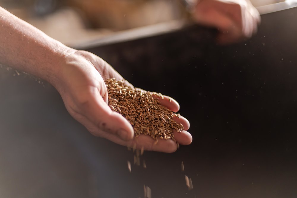 2019-03-19 Pennington's - Distillery_TN Whiskey-5834.jpg